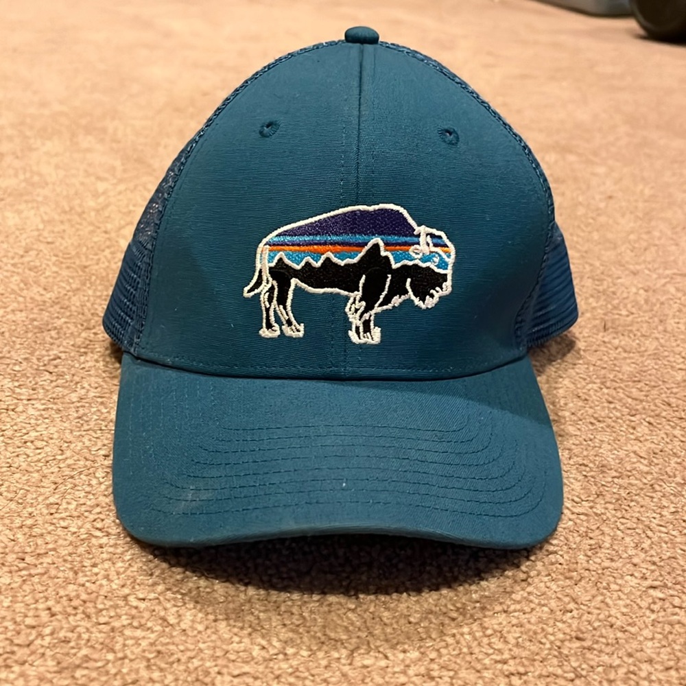 Patagonia bison mesh back hat